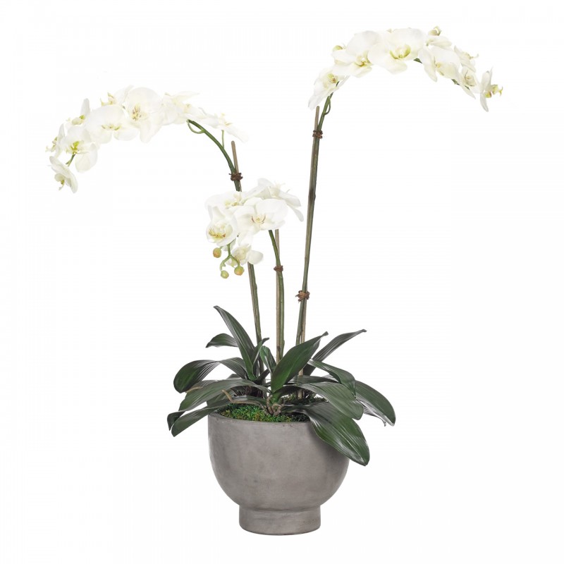  Белая орхидея в кашпо, NDI (Америка)  