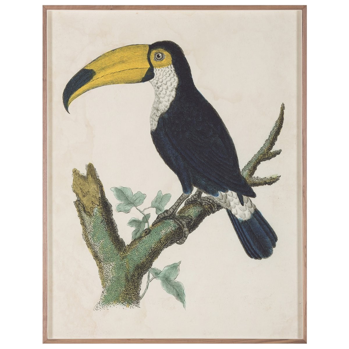 Купить Картина Barraband Toucans 1, Jonathan Adler (Америка) 240933 в  Москве от WhiteHouse. Доставляем по всей России - СПБ, Краснодар,  Екатеринбург, Самара. Салон-магазин мебели White House, Москва, Россия